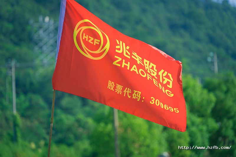 16951945063872359Qid.jpg 20.jpg